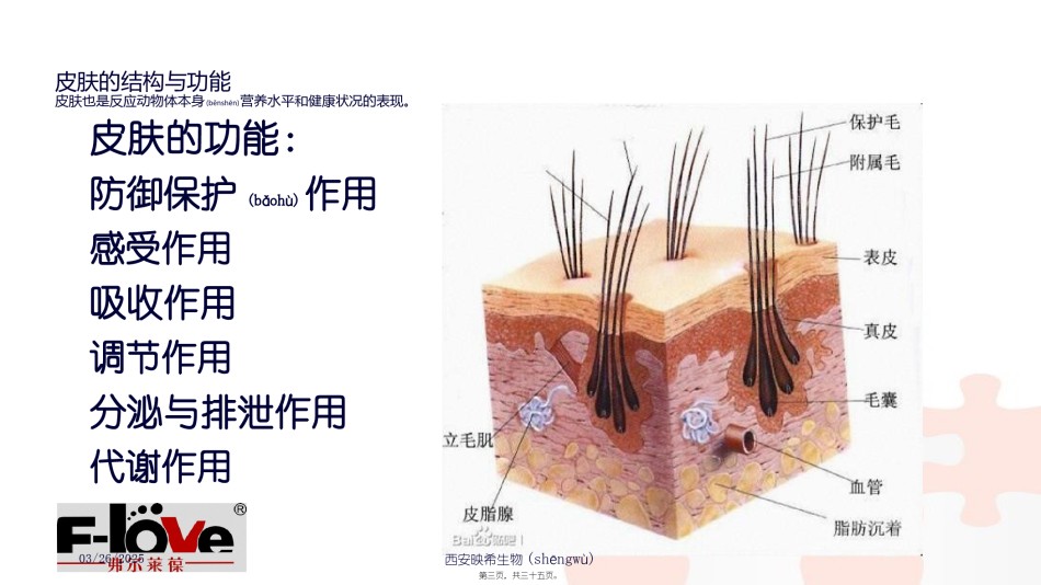 2022年医学专题—宠物皮肤病分享.pptx_第3页