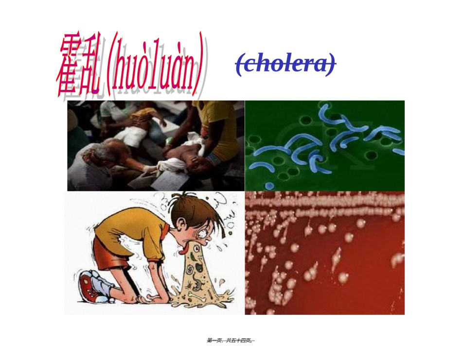 2022年医学专题—宠物源人兽共患病——霍乱讲义.ppt_第1页