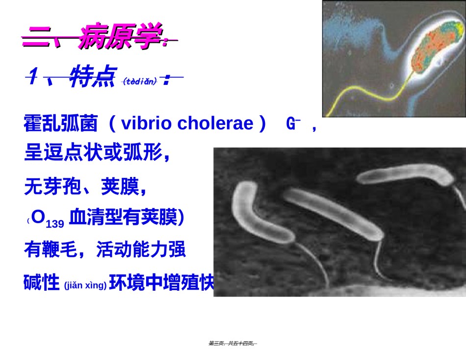 2022年医学专题—宠物源人兽共患病——霍乱讲义.ppt_第3页