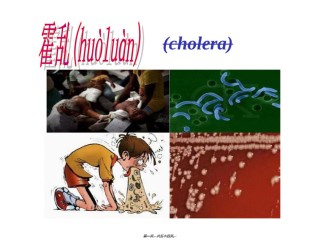 2022年医学专题—宠物源人兽共患病——霍乱讲义.ppt