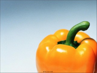 2022年医学专题—初二第1学期第1次课营养素功能及营养缺乏症.ppt