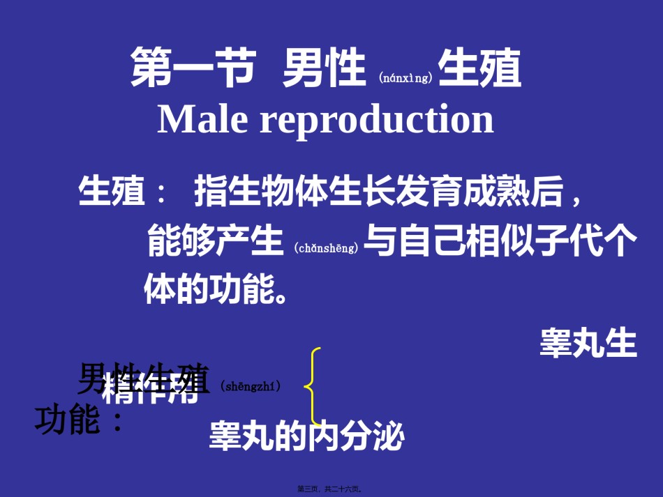 2022年医学专题—初级精母细胞减数分裂.ppt_第3页