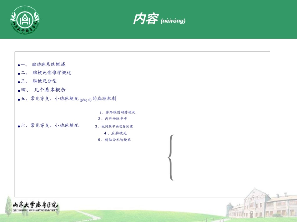 2022年医学专题—穿支动脉梗死.ppt_第2页