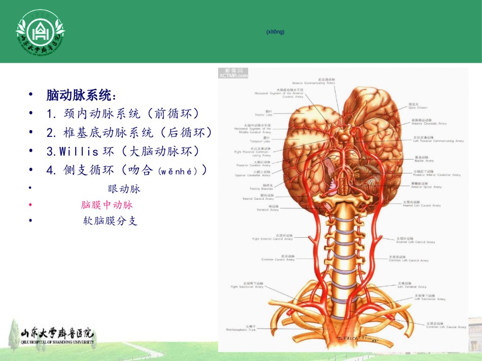 2022年医学专题—穿支动脉梗死.ppt_第3页