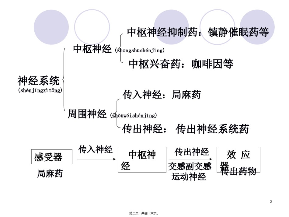 2022年医学专题—传出神经系统药.ppt_第2页