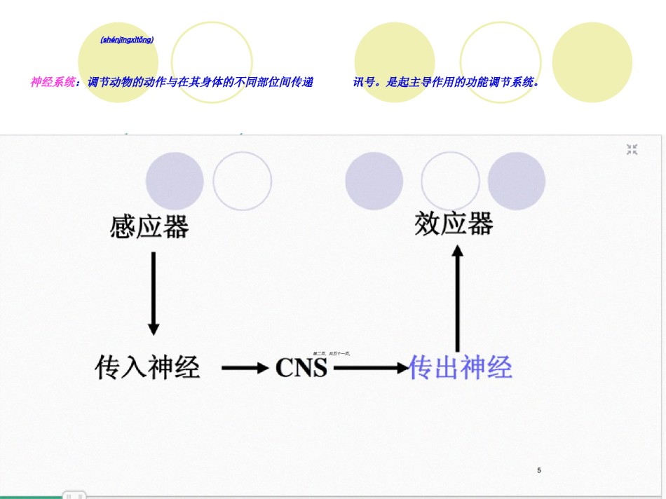 2022年医学专题—传出神经系统药汇总.ppt_第2页