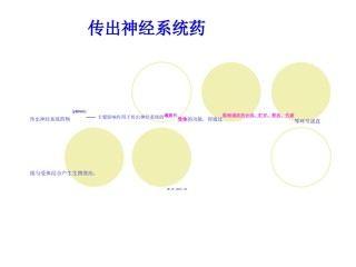 2022年医学专题—传出神经系统药汇总.ppt