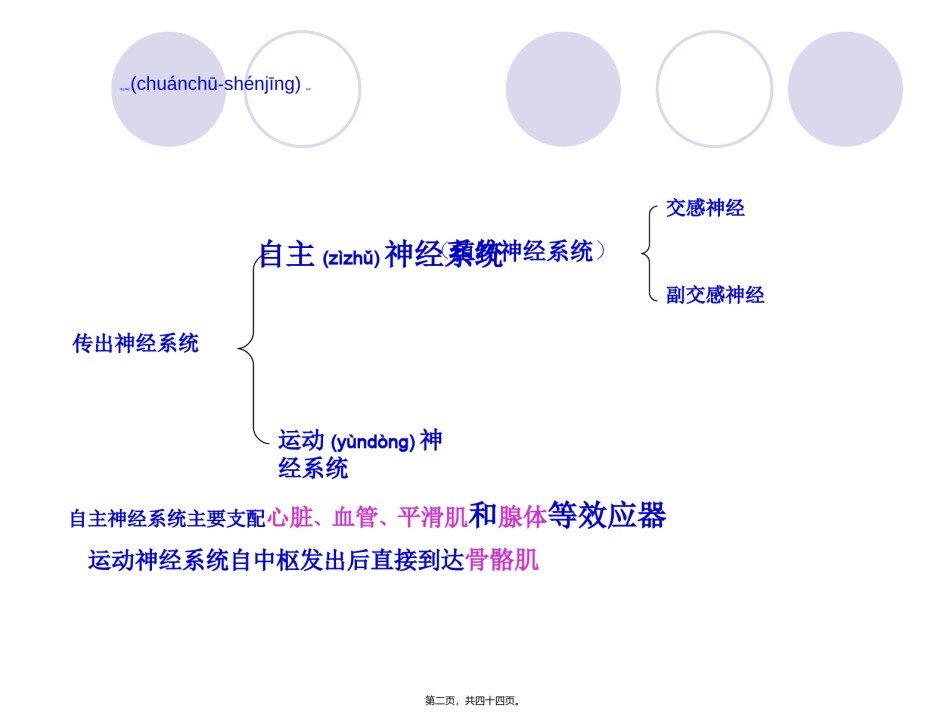 2022年医学专题—传出神经系统药理-图文.ppt_第2页