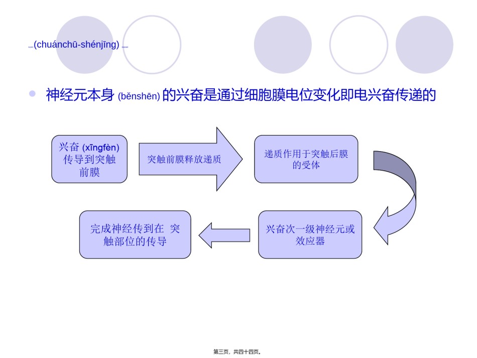 2022年医学专题—传出神经系统药理-图文.ppt_第3页