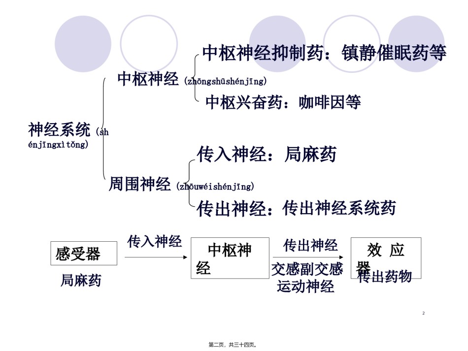 2022年医学专题—传出神经系统药讲义.ppt_第2页