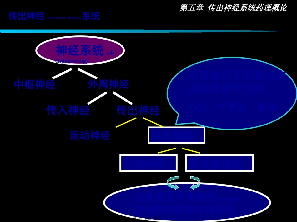 2022年医学专题—传出神经系统药理概论..ppt_第3页