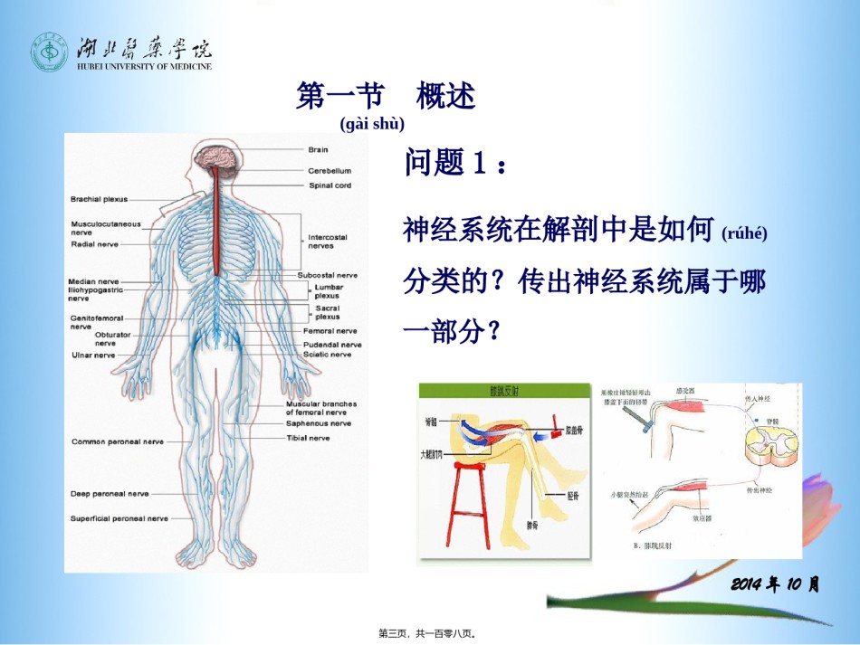 2022年医学专题—传出神经系统药理(5-7章).ppt_第3页