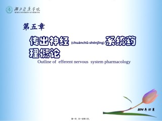 2022年医学专题—传出神经系统药理(5-7章).ppt