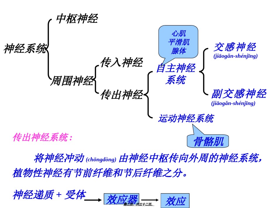 2022年医学专题—传出神经系统药理概论.ppt_第2页