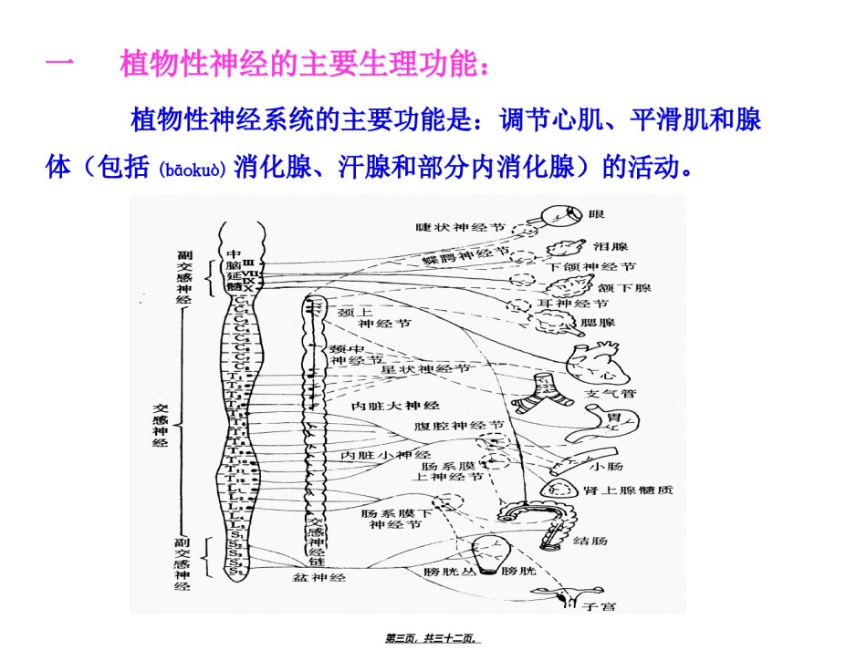 2022年医学专题—传出神经系统药理概论.ppt_第3页
