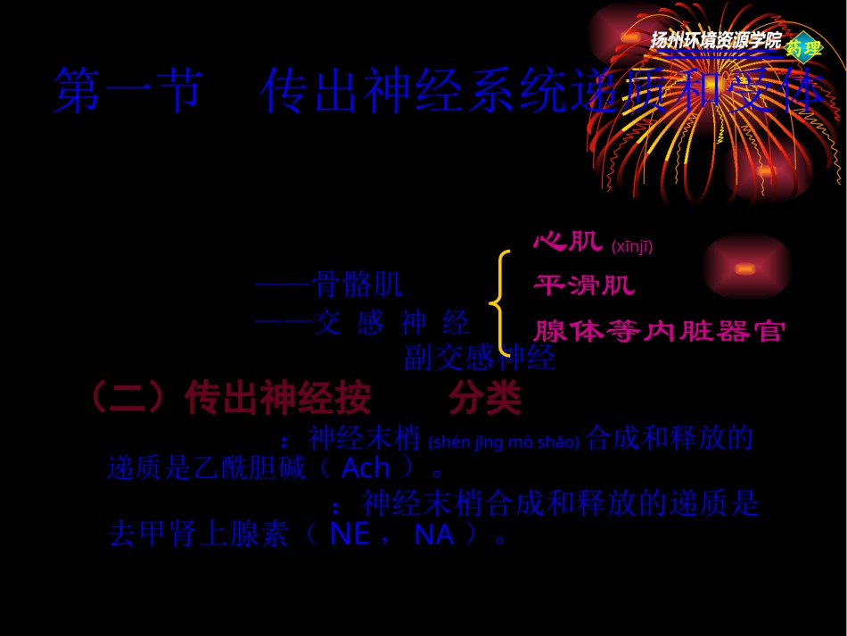 2022年医学专题—传出神经系统药理概论.pptx_第2页