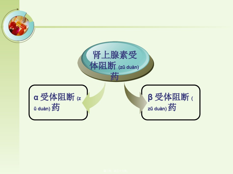2022年医学专题—传出神经系统用药5.ppt_第2页