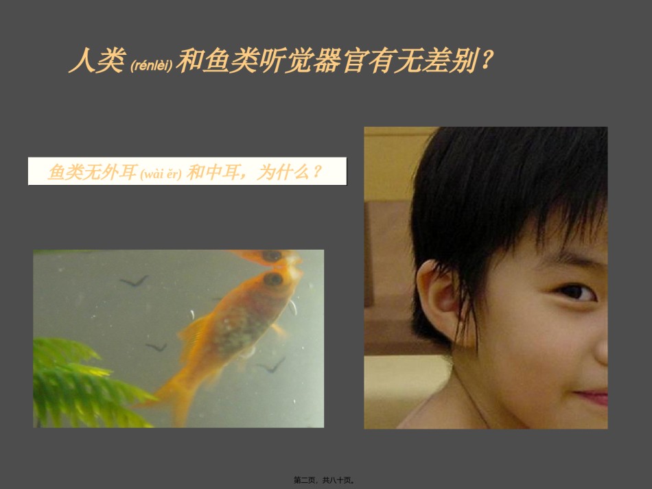 2022年医学专题—传导性耳聋的CT病因分析.ppt_第2页