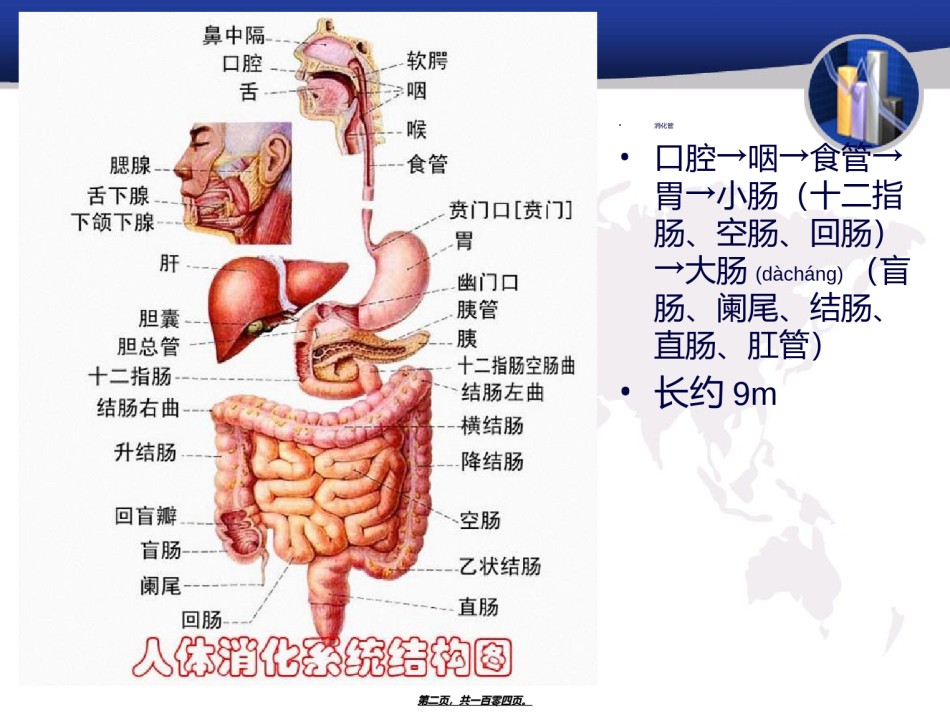 2022年医学专题—传染病-尹慧丝2015讲义.ppt_第2页