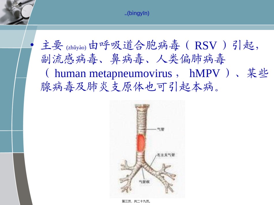2022年医学专题—喘肺.ppt_第3页