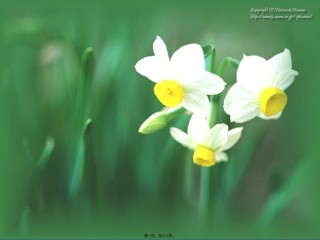 2022年医学专题—传染病(结核病)2.ppt