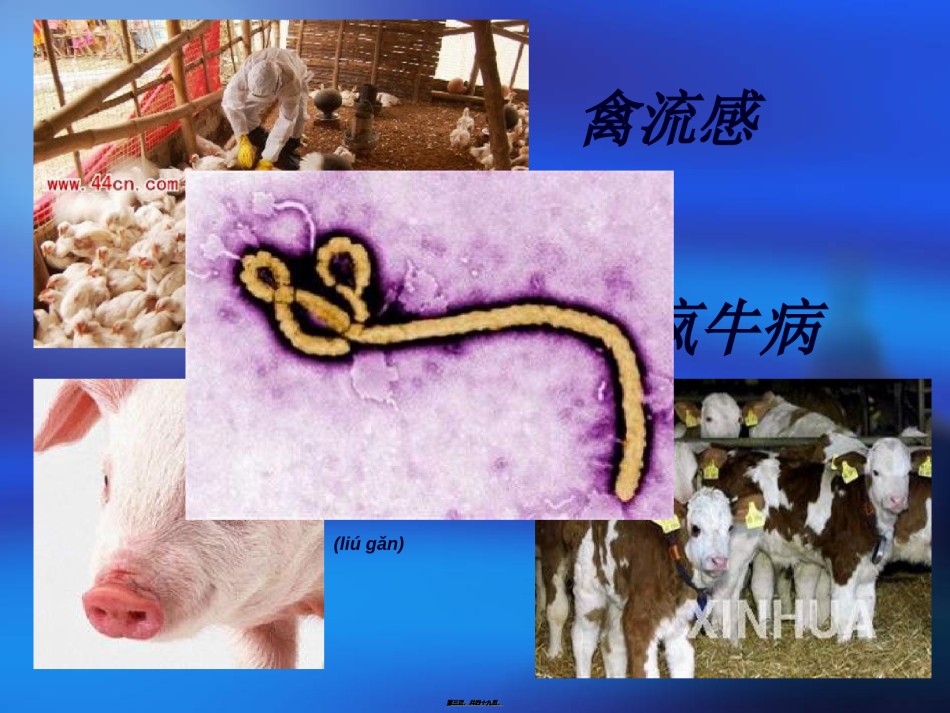 2022年医学专题—传染病防治法2013分析.ppt_第3页