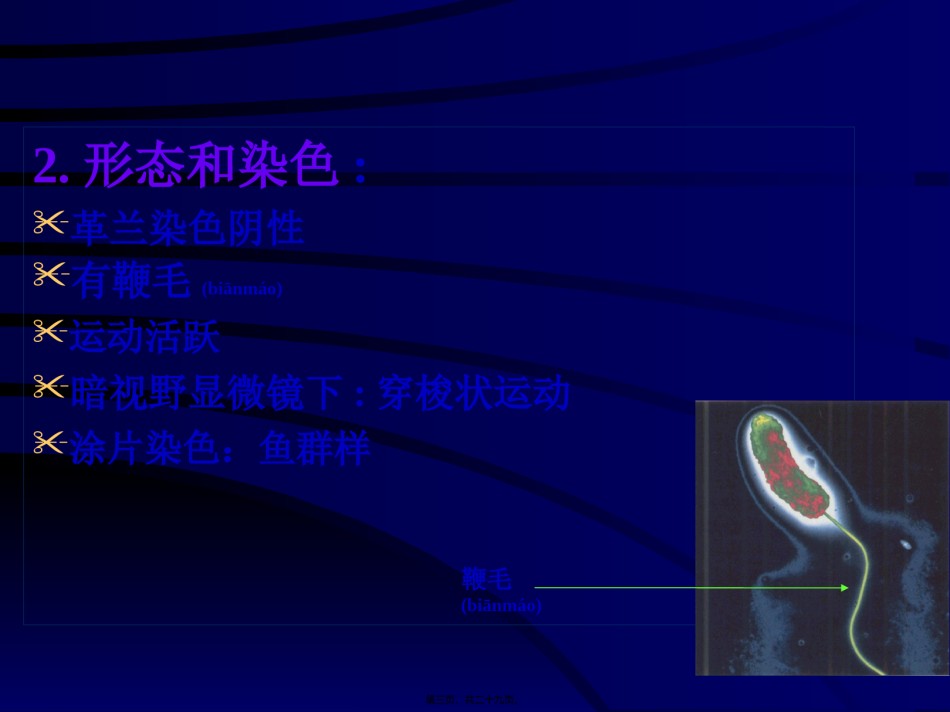 2022年医学专题—传染病学-05-04-霍乱.ppt_第3页
