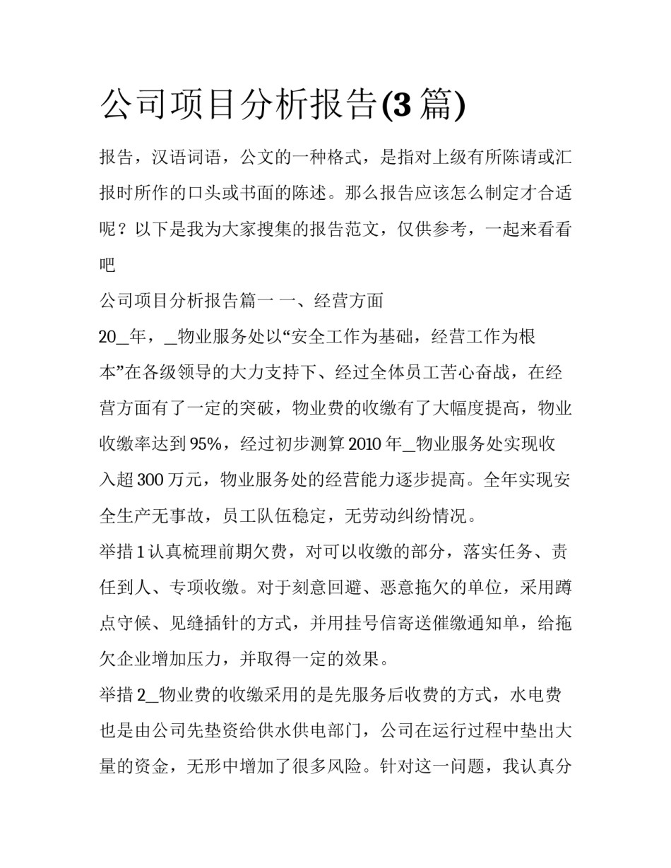 公司项目分析报告(3篇)_第1页