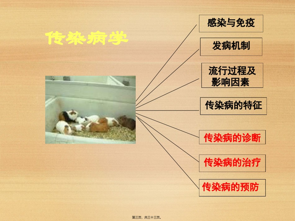 2022年医学专题—传染病学总论-[第五六七部分].ppt_第3页