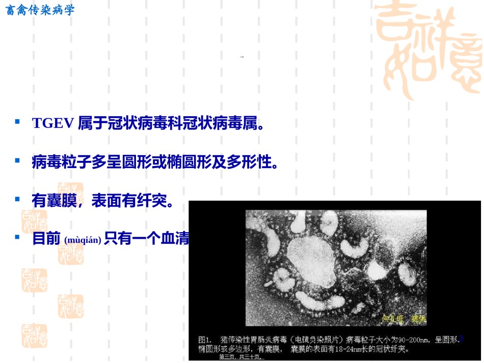 2022年医学专题—传染性胃肠炎..ppt_第3页