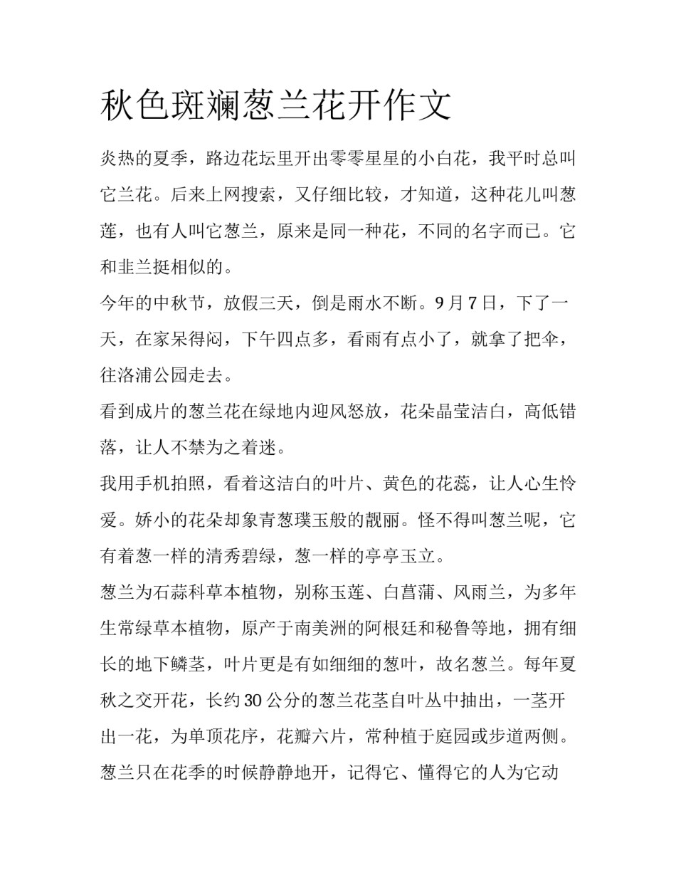 秋色斑斓葱兰花开作文_第1页