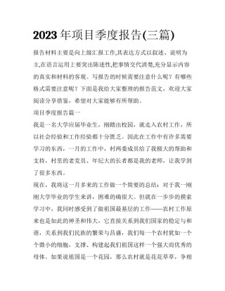 2023年项目季度报告(三篇)