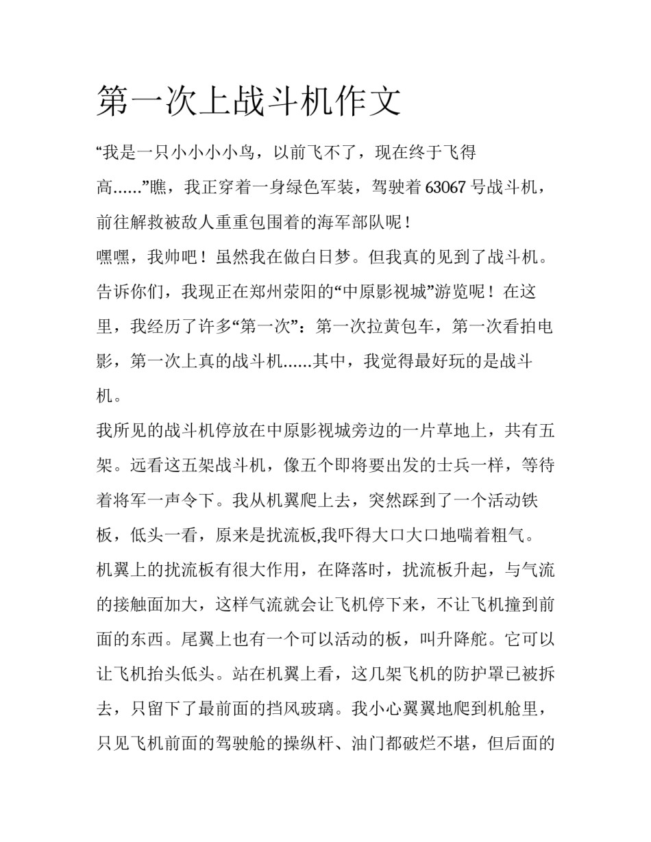第一次上战斗机作文_第1页