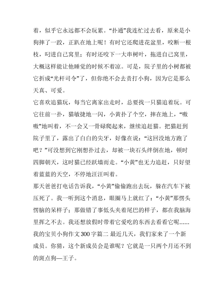 最新我的宝贝小狗作文300字(七篇)_第2页