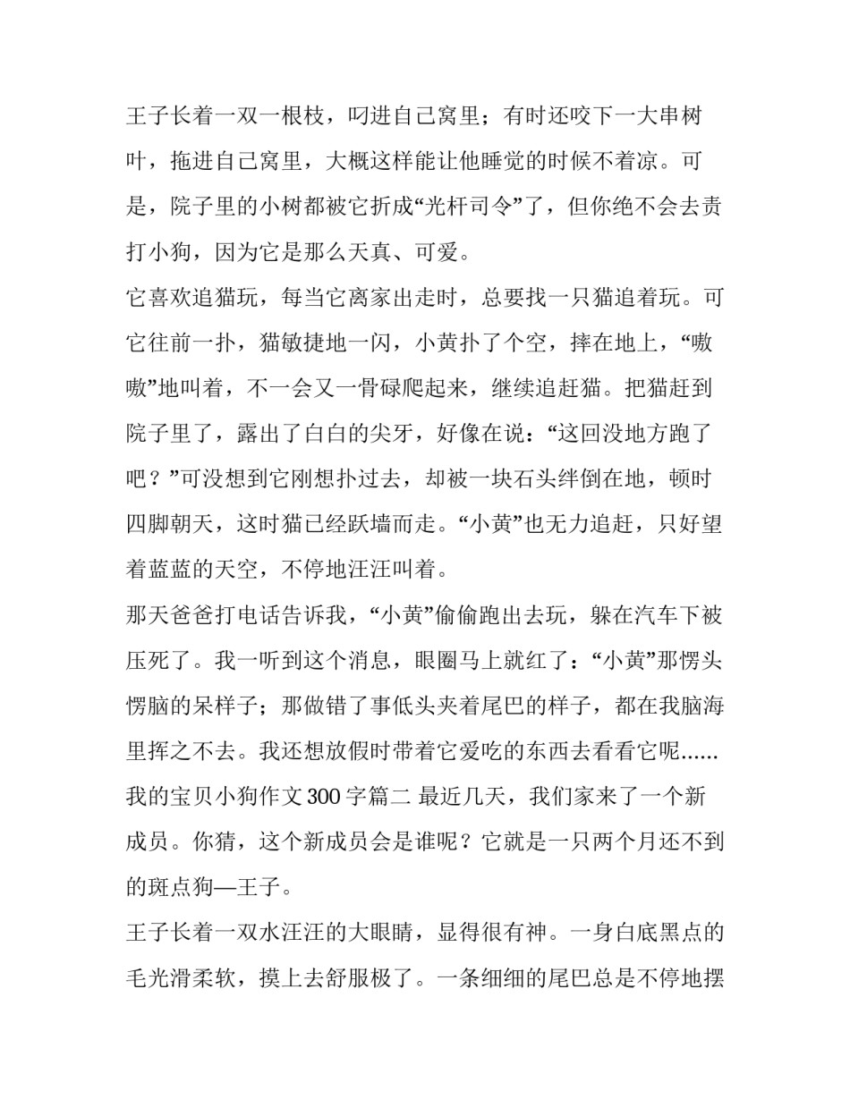 最新我的宝贝小狗作文300字(七篇)_第3页