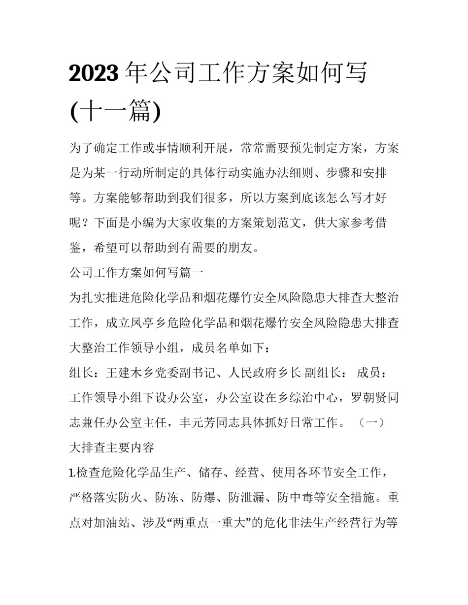 2023年公司工作方案如何写(十一篇)_第1页