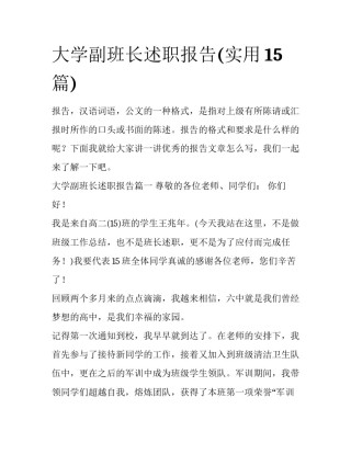 大学副班长述职报告(实用15篇)