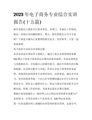 2023年电子商务专业综合实训报告(十五篇)