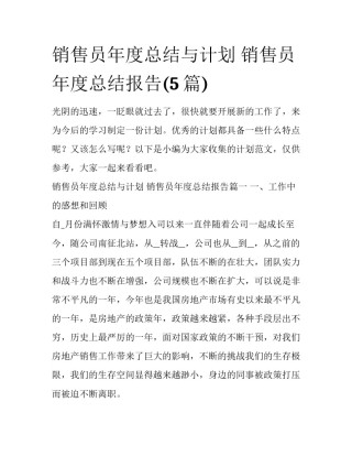 销售员年度总结与计划 销售员年度总结报告(5篇)