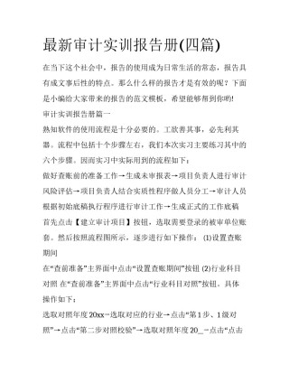 最新审计实训报告册(四篇)