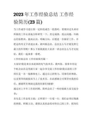 2023年工作经验总结 工作经验简历(23篇)