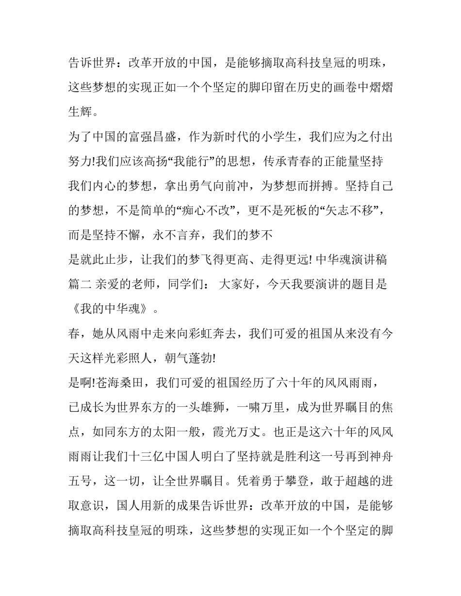 中华魂演讲稿(20篇)_第2页