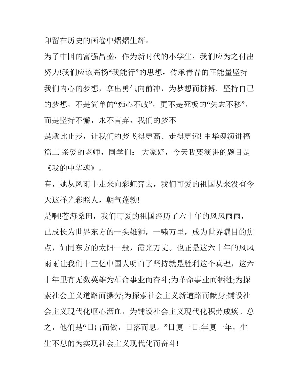 中华魂演讲稿(20篇)_第3页