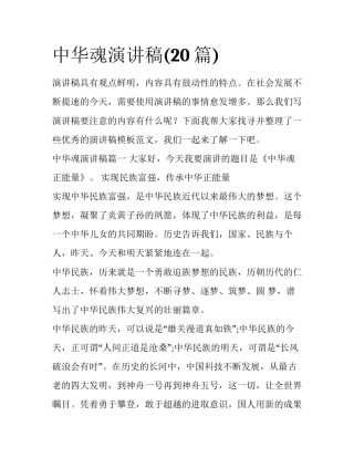 中华魂演讲稿(20篇)