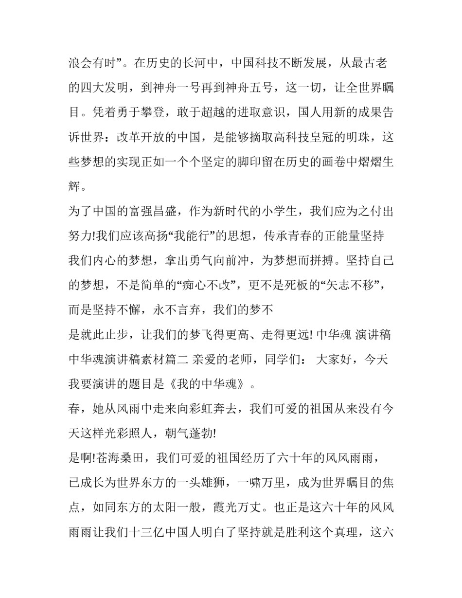 中华魂 演讲稿 中华魂演讲稿素材(20篇)_第3页