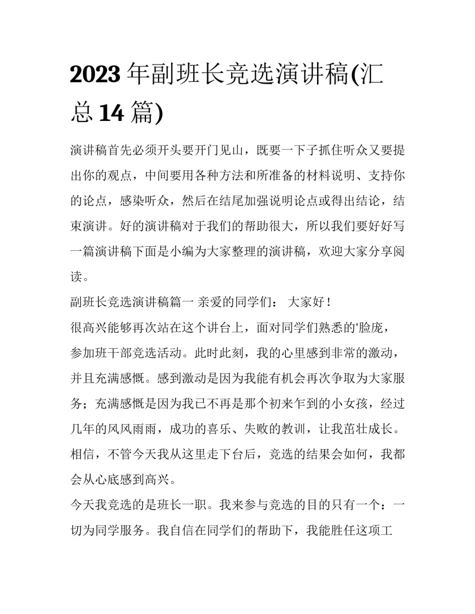 2023年副班长竞选演讲稿(汇总14篇)_第1页