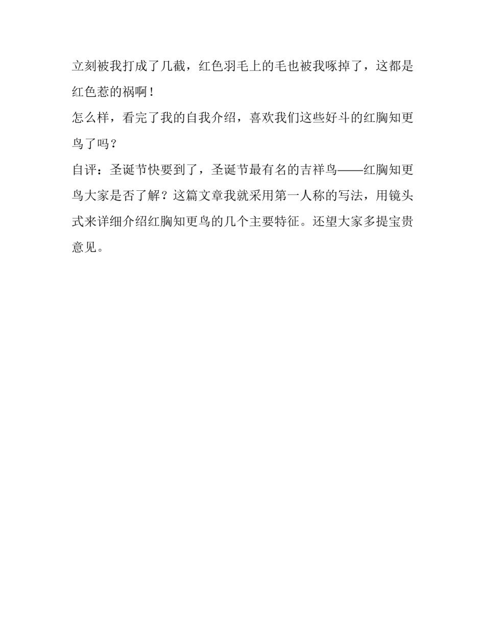 圣诞吉祥物知更鸟作文_第3页