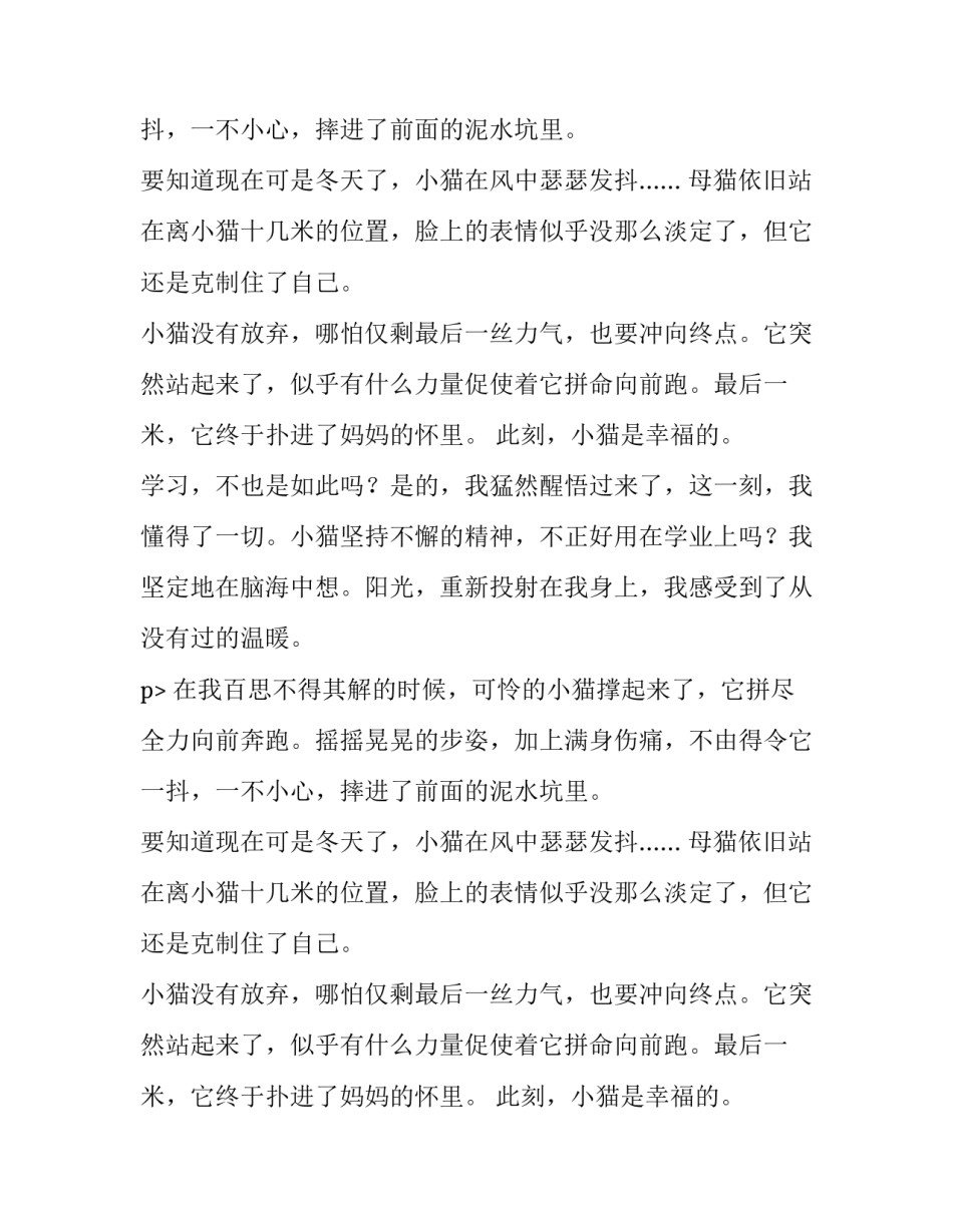 我从来没有这样温暖作文_第2页