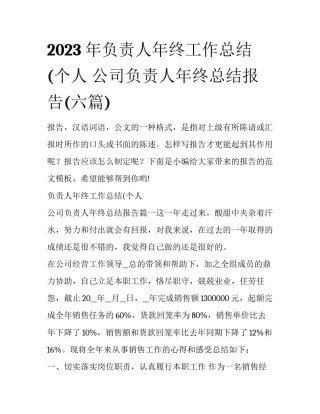 2023年负责人年终工作总结(个人 公司负责人年终总结报告(六篇)
