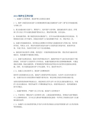 2024年护士工作计划